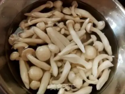 Make White fungus step 2