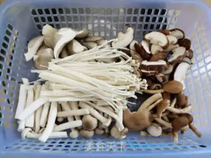 Make Dollies and mushroom soup step 0