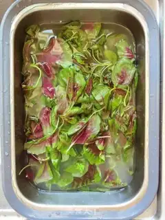 Make Soup step 1