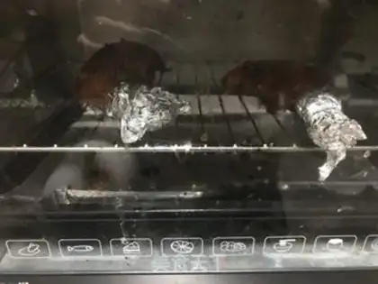 Make Bake the whole chicken leg step 5