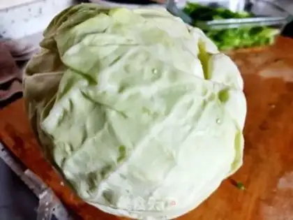 Make A cabbage and a fan step 0