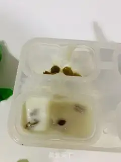 Make Yogurt raisins, low-fat ice cream step 0