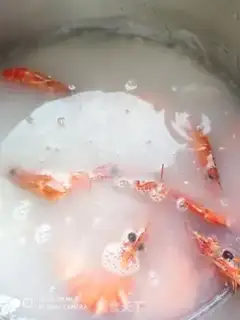 Make Seafood congee step 12