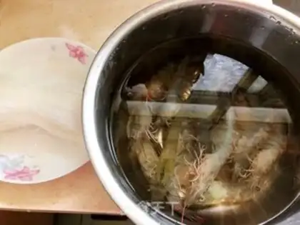 Make Shrimp fans step 0
