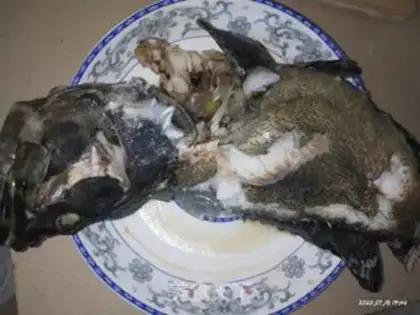 Make Vacuate herring step 3