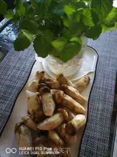 Make Dry fennel step 3