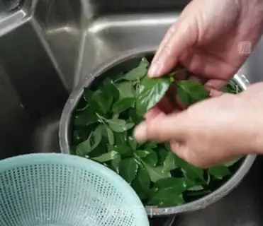 Make Mint ice step 0