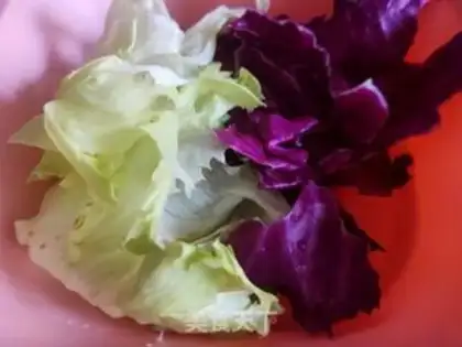 Make ♪ ♪ A chrysanthemum salad ♪ step 0