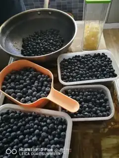 Make Homemade blueberry jam step 0