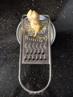 Make Ginger