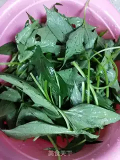 Make ♪ ♪ Haimi makes red potato leaves ♪ step 1