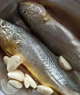 Make Jealousy yellowfish step 0