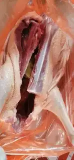 Make The red duck step 0