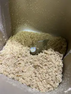Make Chicken pine step 5