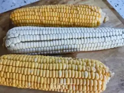 Make Cooking corn step 0