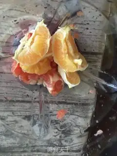 Make Zippa Orange Juice step 2
