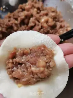 Make Sphinx pork dumplings step 9