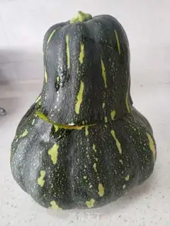 Make Pumpkin step 0