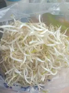 Make Sprouts step 0