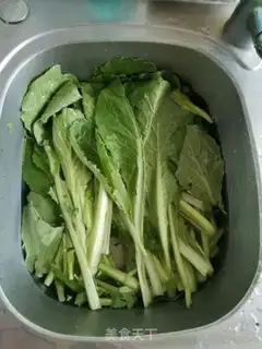 Make Garlic cabbage step 0
