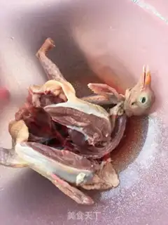 Make Squirrel step 7