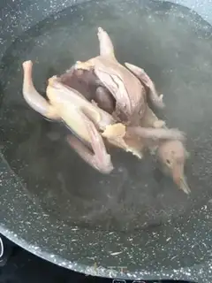 Make Squirrel step 9