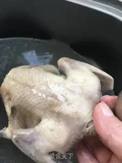 Make Squirrel step 10