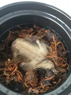 Make Squirrel step 11