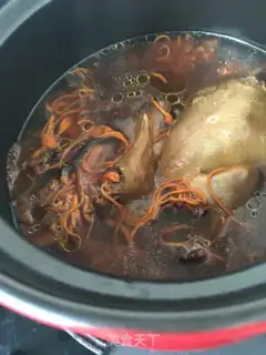 Make Squirrel step 12