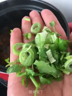Make Squirrel step 14