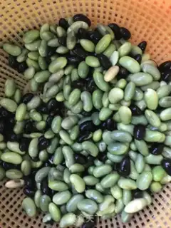 Make ♪ Blue bean tofu brain ♪ step 0