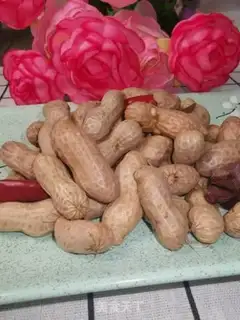 Make Five saline peanuts step 6