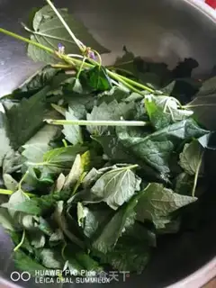 Make Fish step 1