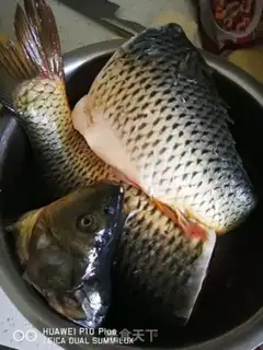 Make Fish step 3