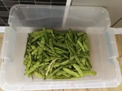 Make Frozen beans step 0