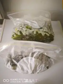Make Frozen beans step 5