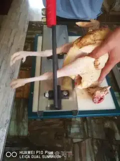Make Smoky chicken step 1
