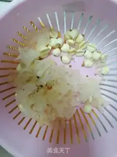 Make Silver Ears Spill step 1