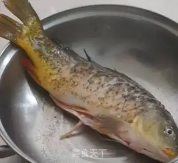 Make Carp step 0