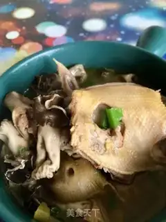 Make Barchuria doves step 20