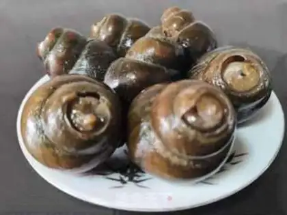 Make Tea oil cleans the snails step 0