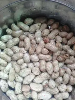 Make Water for salt peanuts step 0