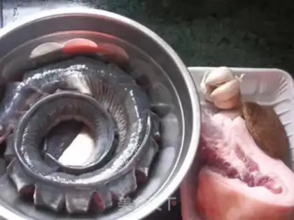 Make Squidfish step 1