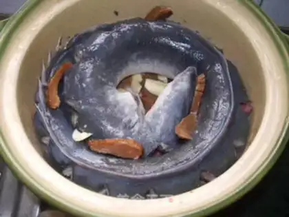 Make Squidfish step 3