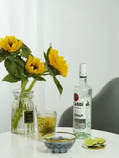 Make Blueberry Mojito step 0