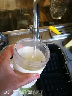 Make All-wheat bean buns step 4