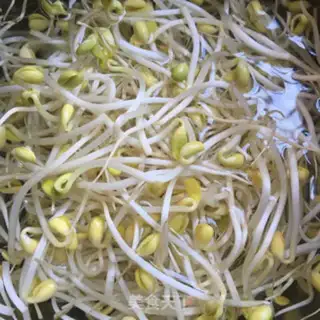 Make Bean sprouts step 0