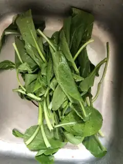 Make Chrysanthemum step 0