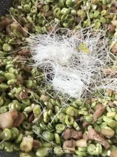 Make ♪ The Quarter Bean fan meat bag ♪ step 19