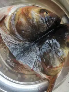 Make Pepper chopper head step 0